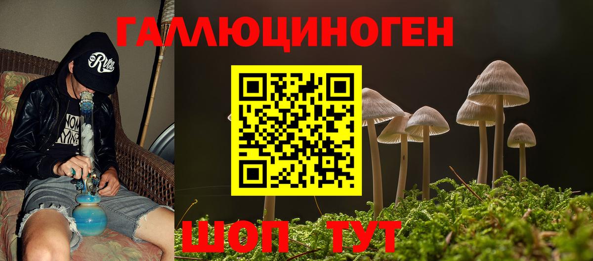 Псилоцибиновые грибы мицелий  Галлюциногенные грибы Psilocybine cubensis  Вход с VPN  где купить наркоту  Новосибирск 